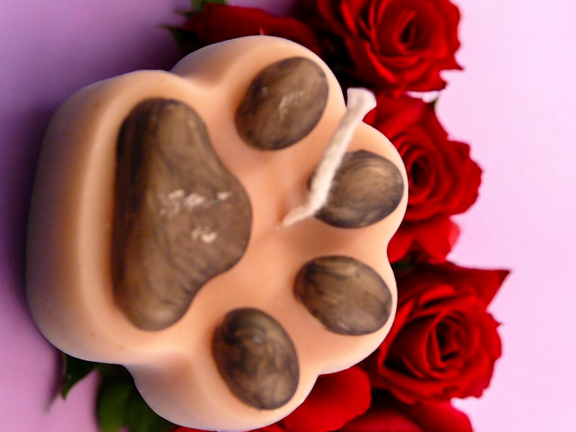 Hondenpoot Kaars (image for) Hondenpoot Kaars